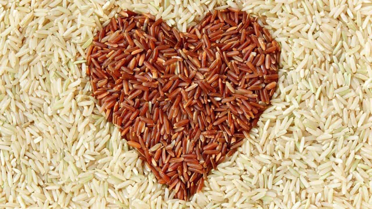 gao-mot-bui-do-hong-dan