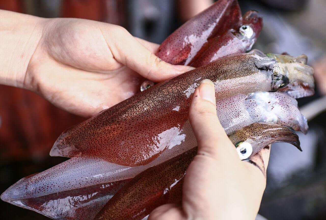 muc-nhay-vung-ang-dac-san